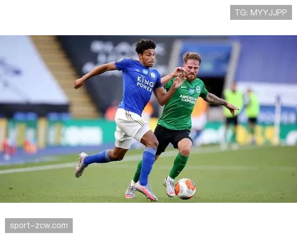 布莱顿取胜后积分达46分 与欧战区仅一步之遥 布莱顿取胜后积分达46分 与欧战区仅一步之遥